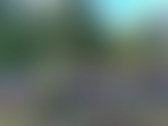 Over 200 Registrants for CASA’s Fall Family Run presented by McDonald’s of the Gorge.