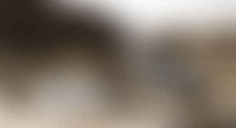 Quanto custa o seguro Tiger 900?