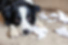 AdobeStock_347612143.jpeg