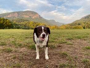 Lake Lure: Exploring Nature