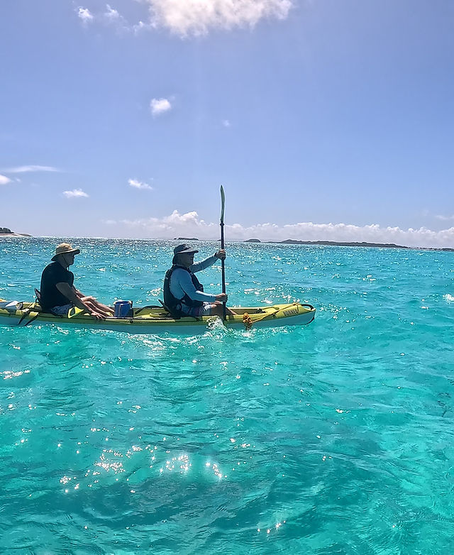 Mermaid ReefカヤックSUPツアー