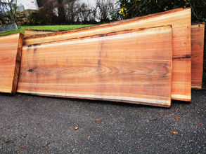 8793a996-964a-4639-b4fd-5e46a816b8ea.jfif