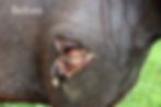 Thumbnail: Re-Cover 16oz.