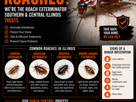 Roach Exterminator Services: How to Get Rid of Cockroaches for Good