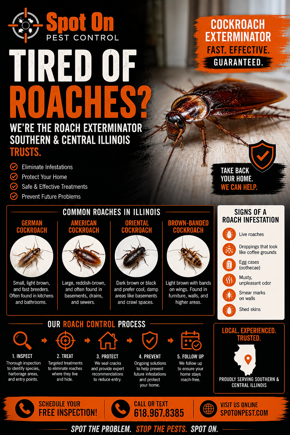 Roach Exterminator Services: How to Get Rid of Cockroaches for Good
