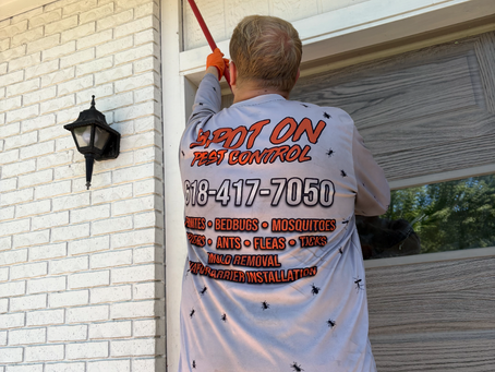 Best Pest Control in Carbondale, IL: Why Homeowners Choose Spot On