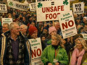 Lessons for Everyone from the Irish Farmer Protests