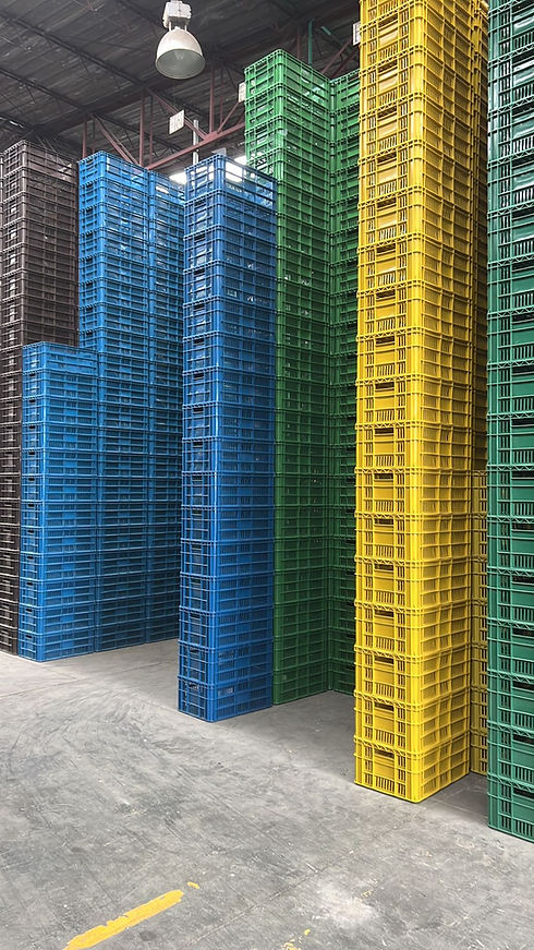 WhatsApp Image 2025-05-21 at 16.29.39.jpeg