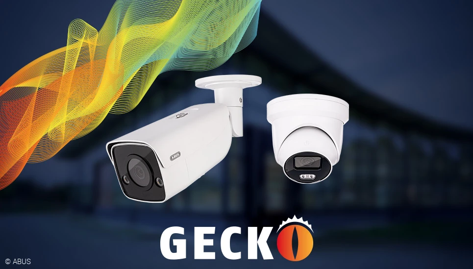 220217-Gecko-Teaser-JA.webp