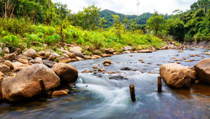 【2024台灣河川希望工程：水患治理類特優獎──種瓜坑野溪復育工程】