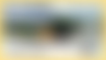 2023年疫情後再次開啟公民現勘【第五屆金爛蘋果獎回顧】