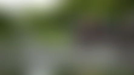 【河川治理必修課】流域公民基本功六講之一 |