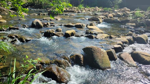 田寮洋一、二、三圳取水設施更新改善工程——從「撞牆之路」到「洄家之河」,打開水利與生態共存的想像