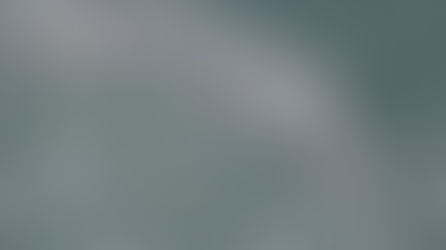【眼底城事專欄】從烏溪雙冬堤防維修改善工程——反思河川管理應履行的生態環境維護義務