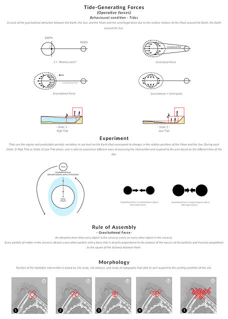 Tides and Rules of assembly.jpg