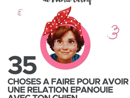 Les 35 choses à faire avec son chien pour avoir une relation épanouie ( ou pas...)