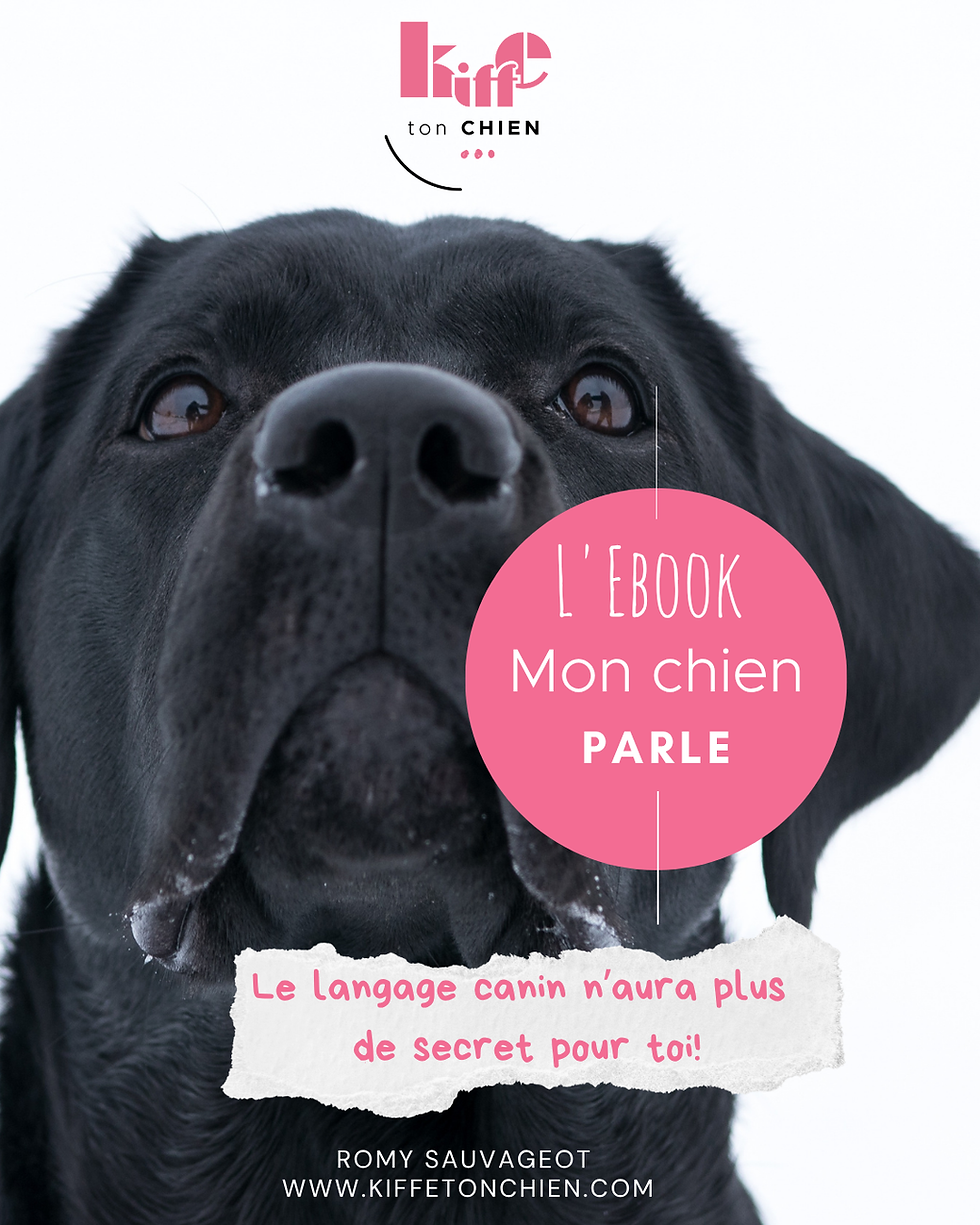 Miniature : Ebook "Mon chien parle"
