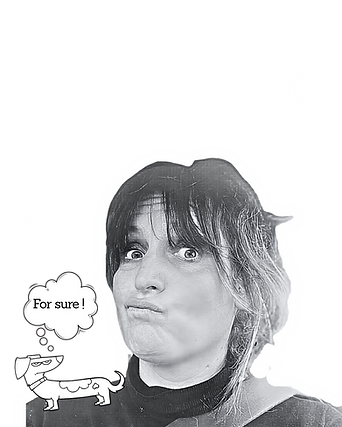 je vais faire simple pour 2027..png