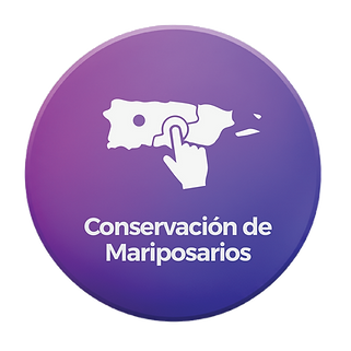 Botones Mapa_Mariposas Casa.png