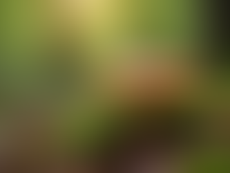 Why Mycology Outreach Matters