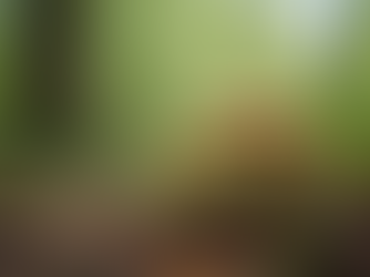 The Role of Mycology in Community Outreach