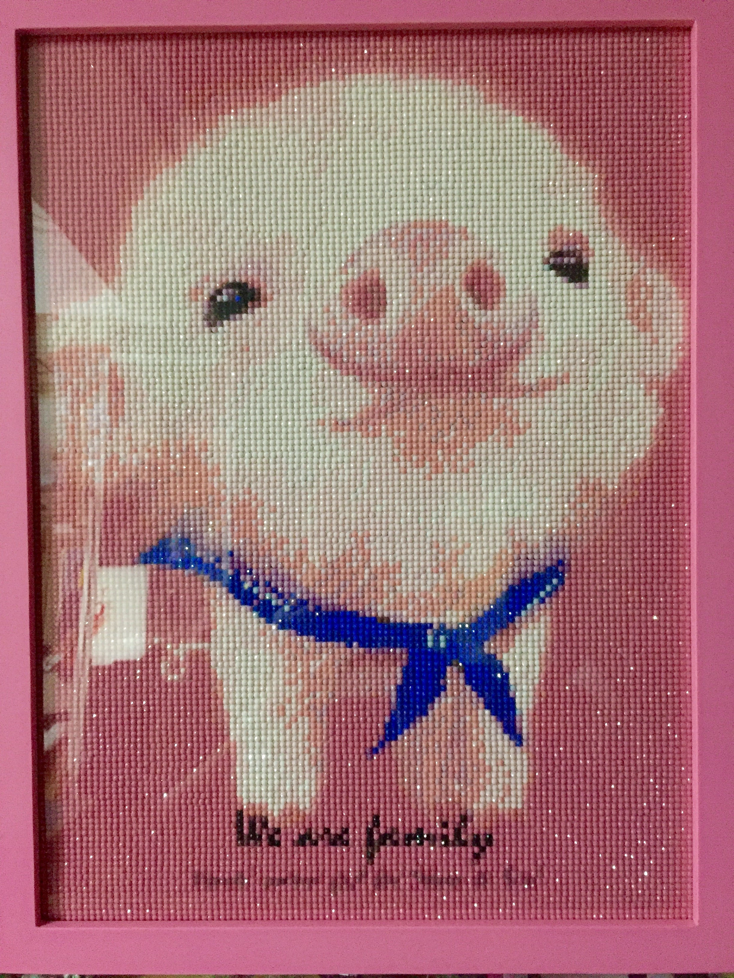 [鑽石畫] 粉紅小豬 34x44cm (包送貨)