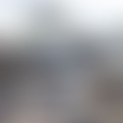 AfriForum sleep die metro hof toe oor vullisverwydering