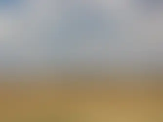 Lourierpark: Die Metro moet ontwikkeling staak