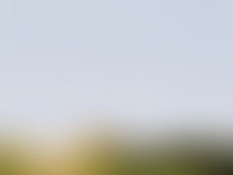 Polisie vind miljoene rand se gesteelde kruideniersware terug