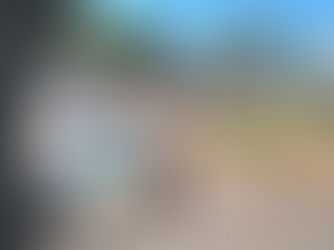 Die Lengau-toetssentrum sluit weer sonder verduideliking 