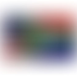 Amerika trek 'n Suid-Afrikaner se visum terug ná opmerkings oor Kirk