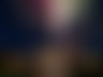 'n Dierewelsynsgroep pleit vir stiller alternatiewe tot vuurwerke