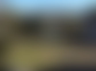 'n Bloemfonteinse trou-venue se bestuurder word aangekla van diefstal