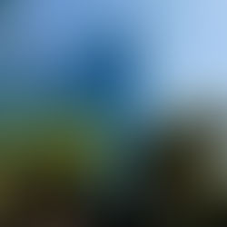 Nuwe aantygings doen die ronde oor swak bestuur in die metro