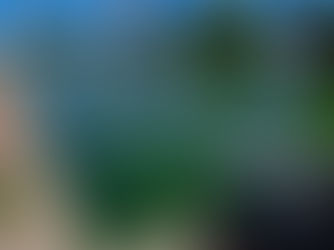 Steengroef-verdrinking: Heidedallers blameer die munisipaliteit