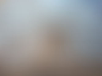 Die Bfn honde-eenheid neem vermeende dwelmhandelaars in hegtenis