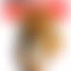 Tiger Brands help net swart werkers se direkte familie om te studeer