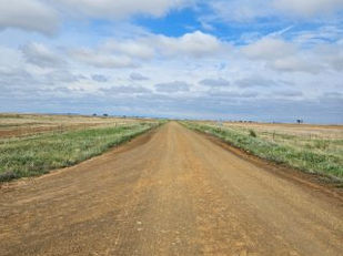 Vrystaat Landbou sê boere vul die leemtes waar die regering misluk