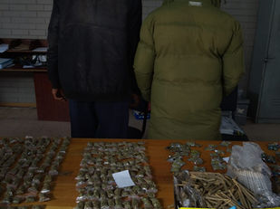 Twee is vas in Willows vir onwettige dagga-besit 