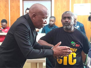 Malema hou vol die reg wil sy politieke stem stil maak