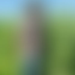 'n Oud-Vrystater is as landbouwetenskaplike van die jaar aangewys