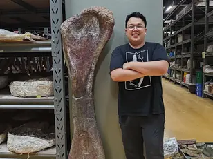 ‘n Nuwe spesie reuse-dinosourus-fossiele is in Thailand ontdek