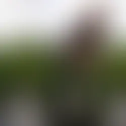 'n Britse vrou groei Engeland se eerste rysveld