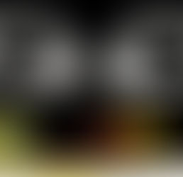 Die Valke neem vier in hegtenis wat by die Russiese frontlinie wou aansluit