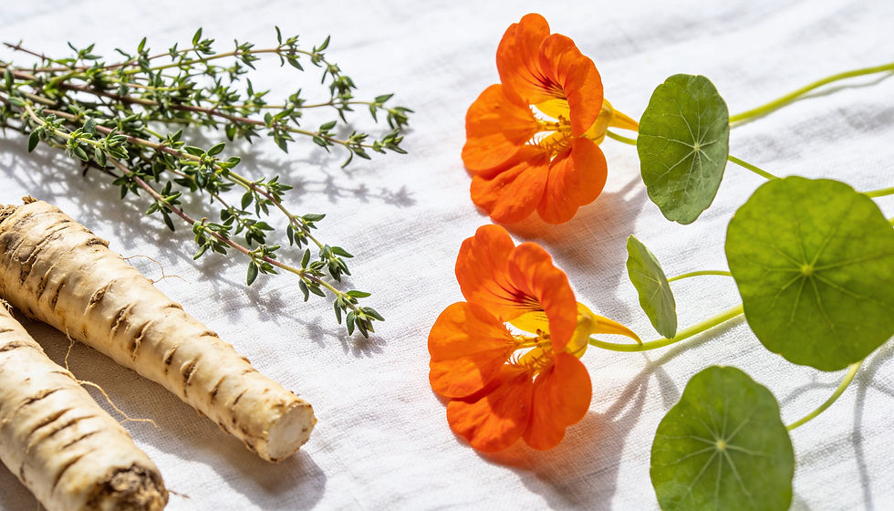 Kapuzinerkresseblüten, Meerrettichwurzeln und Thymian als natürliche Antibiotika – pflanzliche Alternativen bei Erkältungen und Harnwegsinfekten.