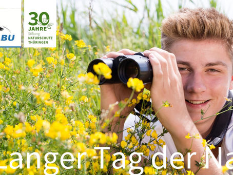 Junger Mann mit Fernglas in einer blühenden Wiese auf dem Veranstaltungsbanner „Langer Tag der Natur“ des NABU Thüringen.