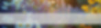 Flower_print_3banner-base-low resolution v2-10000w.jpg