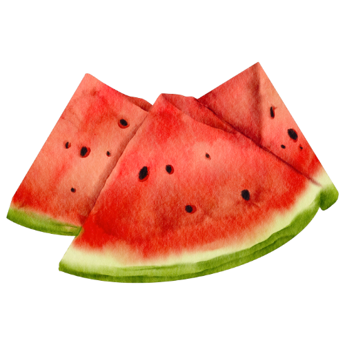 Watercolour image of slices of water melon