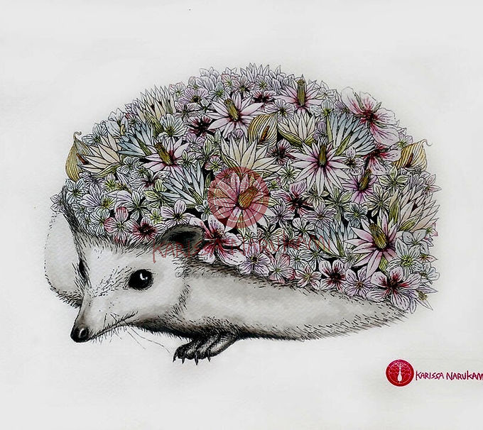 Animal - Hedgehog 2_edited.jpg