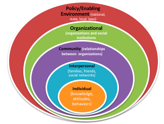 Omission is Oppression; Substantiation of Intimate Partner Violence Through Social Ecological Models